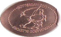 Rotterdam-07g