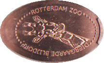 Rotterdam-07f